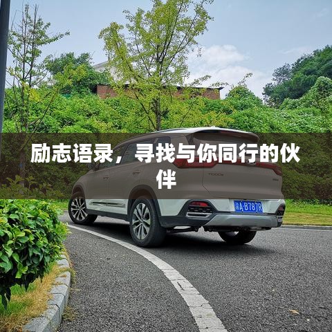 励志语录，寻找与你同行的伙伴