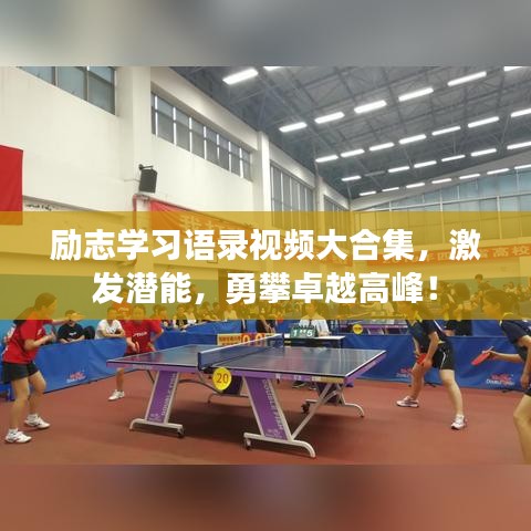 励志学习语录视频大合集，激发潜能，勇攀卓越高峰！