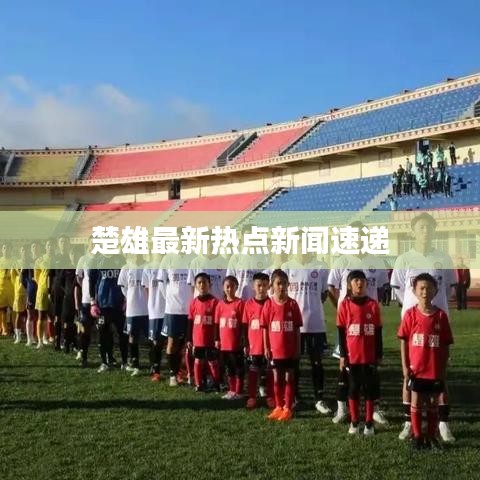 楚雄最新热点新闻速递