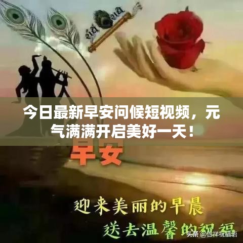 今日最新早安问候短视频，元气满满开启美好一天！