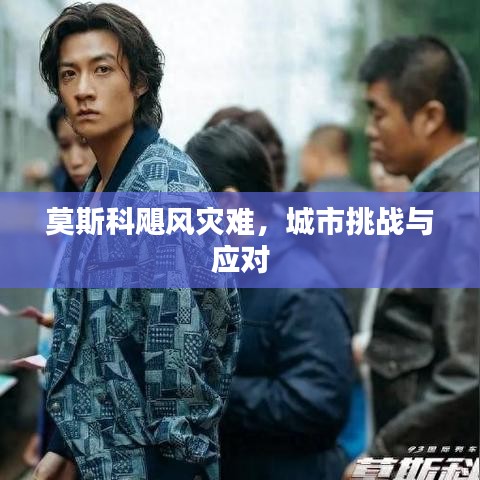 莫斯科飓风灾难，城市挑战与应对