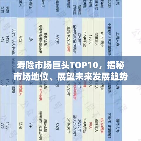 寿险市场巨头TOP10，揭秘市场地位、展望未来发展趋势