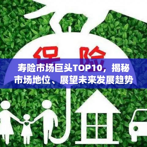寿险市场巨头TOP10,揭秘市场地位、展望未来发展趋势