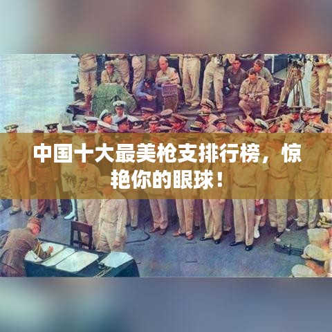 中国十大最美枪支排行榜,惊艳你的眼球!