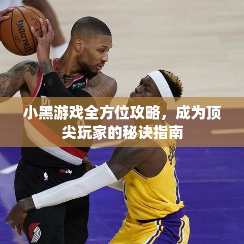 小黑游戏全方位攻略，成为顶尖玩家的秘诀指南