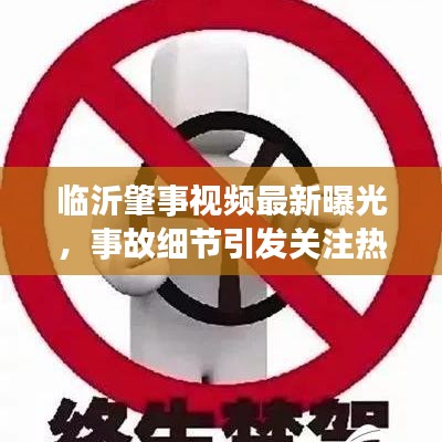 临沂肇事视频最新曝光，事故细节引发关注热议