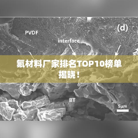 氟材料厂家排名TOP10榜单揭晓！