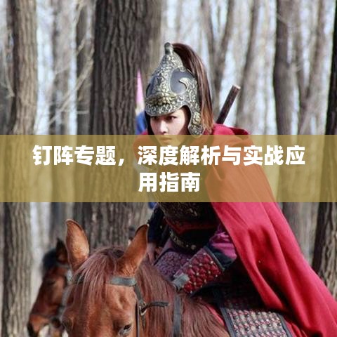 钉阵专题，深度解析与实战应用指南