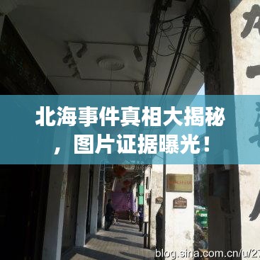 北海事件真相大揭秘,图片证据曝光!