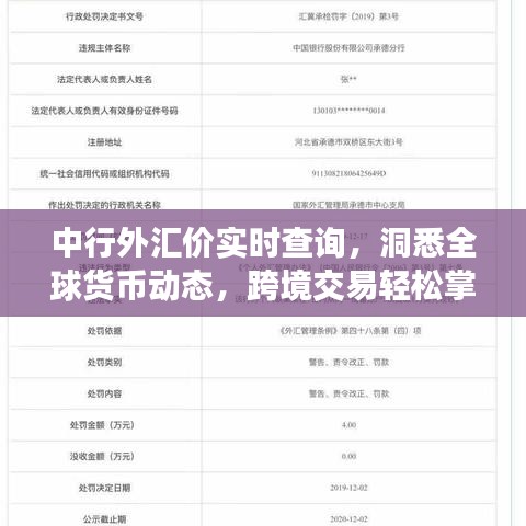 中行外汇价实时查询，洞悉全球货币动态，跨境交易轻松掌握