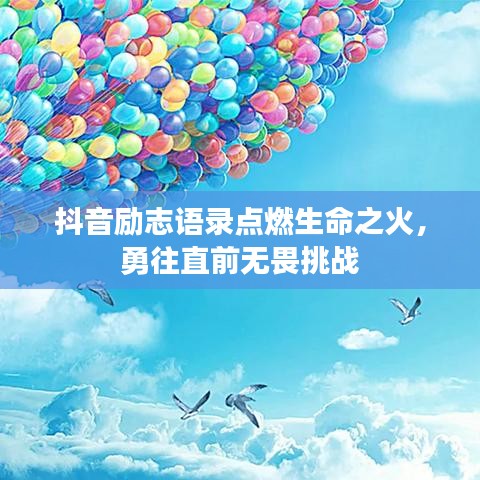 观往知来 第7页