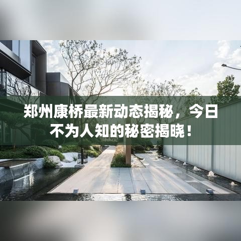 郑州康桥最新动态揭秘，今日不为人知的秘密揭晓！