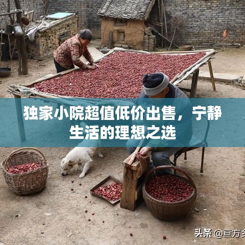 独家小院超值低价出售，宁静生活的理想之选