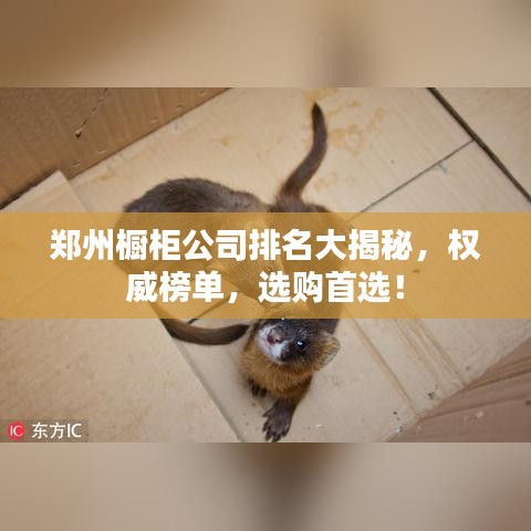 郑州橱柜公司排名大揭秘，权威榜单，选购首选！