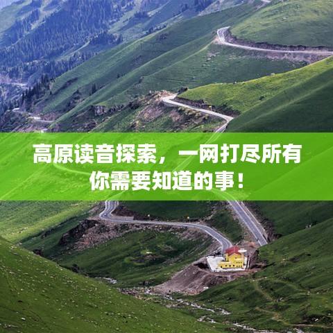 高原读音探索，一网打尽所有你需要知道的事！