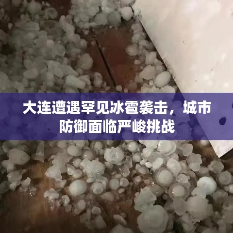 大连遭遇罕见冰雹袭击，城市防御面临严峻挑战