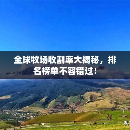 全球牧场收割率大揭秘,排名榜单不容错过!
