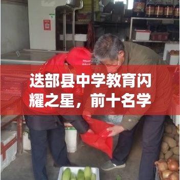 迭部县中学教育闪耀之星，前十名学校的辉煌成就