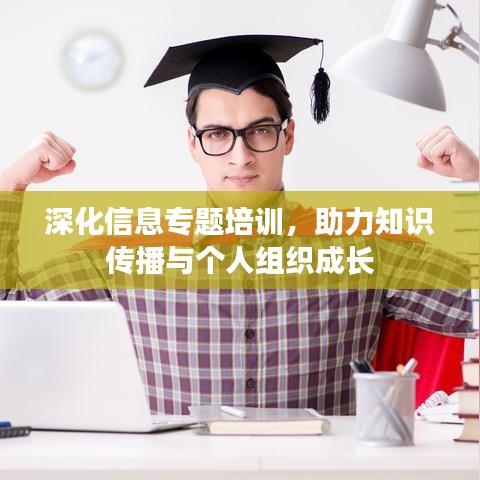 深化信息专题培训，助力知识传播与个人组织成长