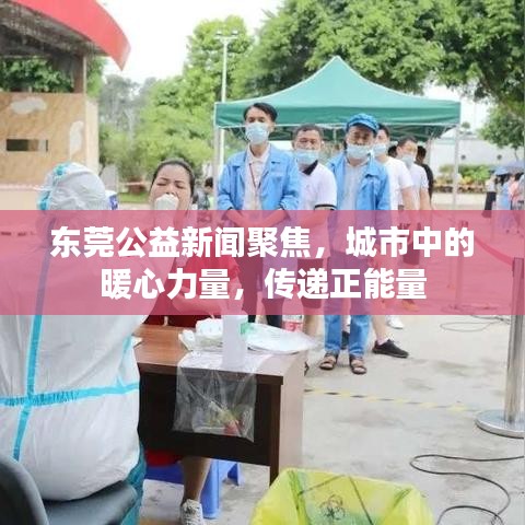 东莞公益新闻聚焦，城市中的暖心力量，传递正能量