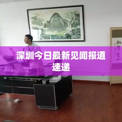 深圳今日最新见闻报道速递
