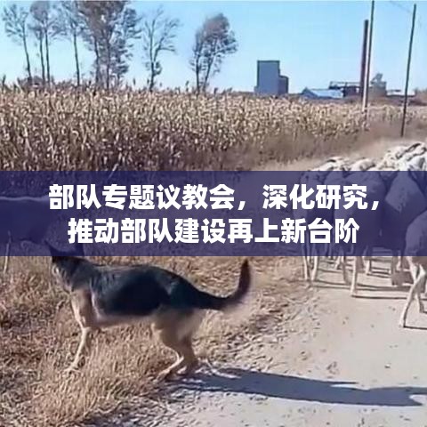 部队专题议教会，深化研究，推动部队建设再上新台阶