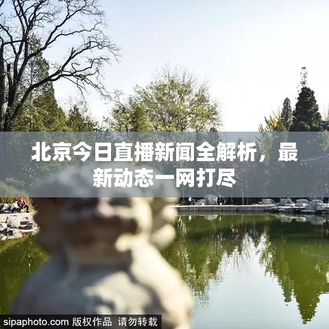 北京今日直播新闻全解析，最新动态一网打尽