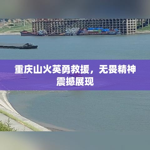 重庆山火英勇救援，无畏精神震撼展现