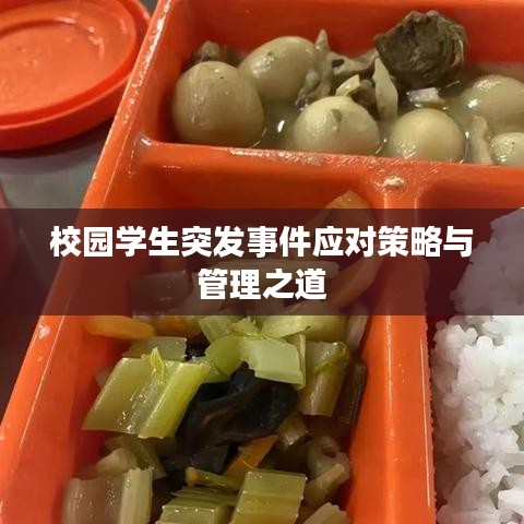 校园学生突发事件应对策略与管理之道