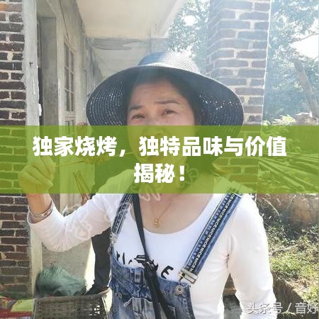 独家烧烤,独特品味与价值揭秘!