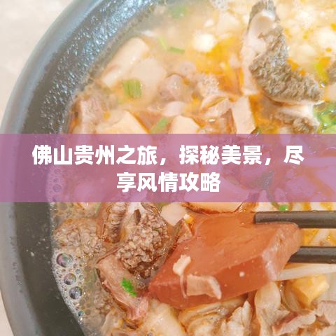 佛山贵州之旅，探秘美景，尽享风情攻略