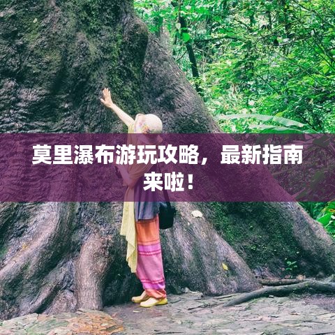 莫里瀑布游玩攻略,最新指南来啦!