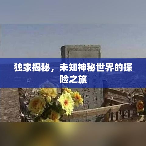 独家揭秘，未知神秘世界的探险之旅