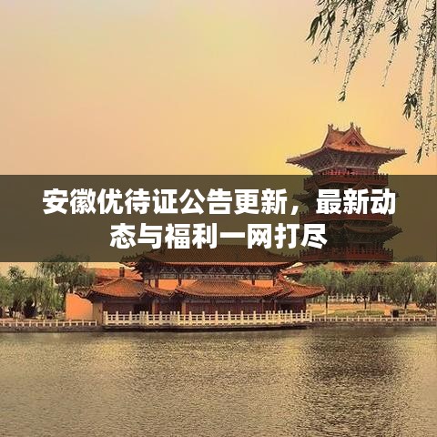 安徽优待证公告更新，最新动态与福利一网打尽
