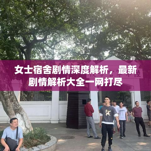 女士宿舍剧情深度解析，最新剧情解析大全一网打尽
