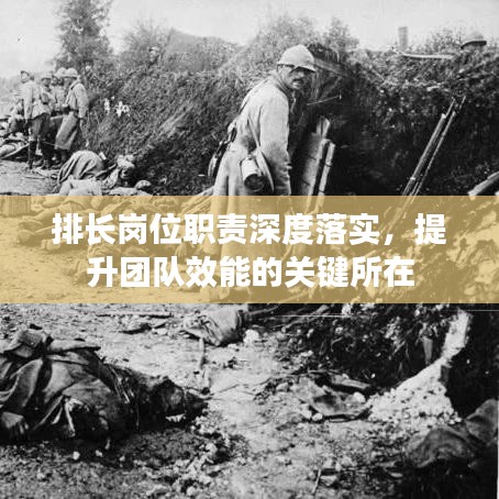 排长岗位职责深度落实，提升团队效能的关键所在