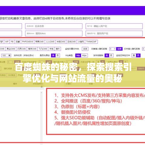 百度蜘蛛的秘密，探索搜索引擎优化与网站流量的奥秘