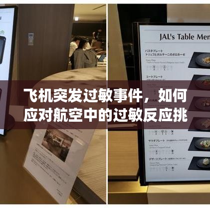 飞机突发过敏事件，如何应对航空中的过敏反应挑战