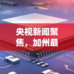 央视新闻聚焦，加州最新动态速递