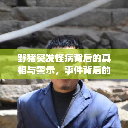 野猪突发怪病背后的真相与警示，事件背后的深度剖析视频热议中