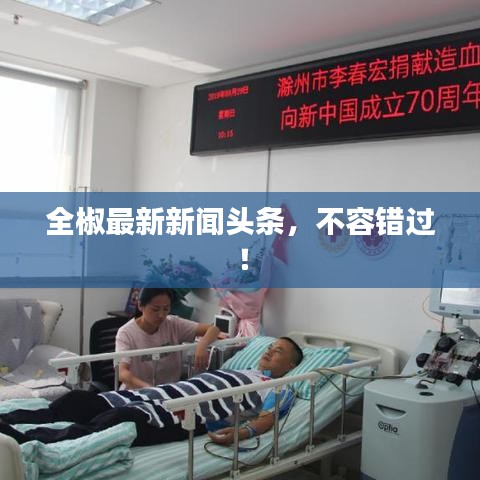 全椒最新新闻头条，不容错过！