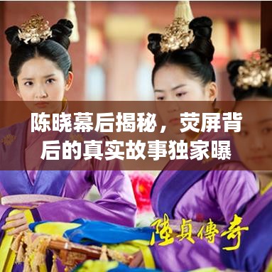 陈晓幕后揭秘，荧屏背后的真实故事独家曝光