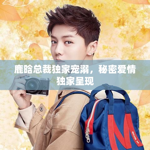 鹿晗总裁独家宠溺,秘密爱情独家呈现