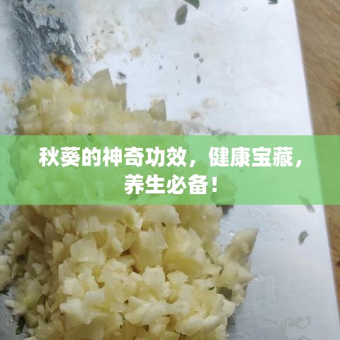 秋葵的神奇功效，健康宝藏，养生必备！