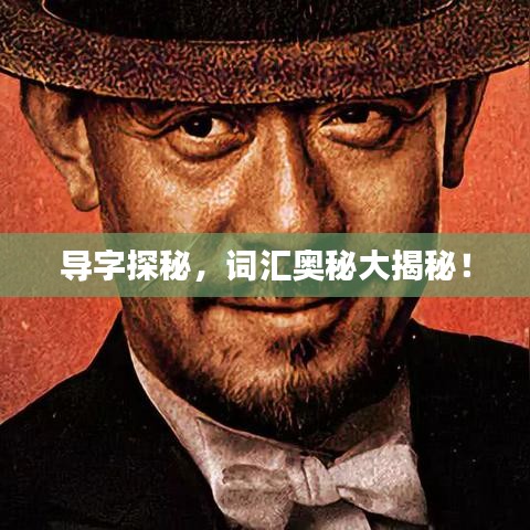 导字探秘，词汇奥秘大揭秘！