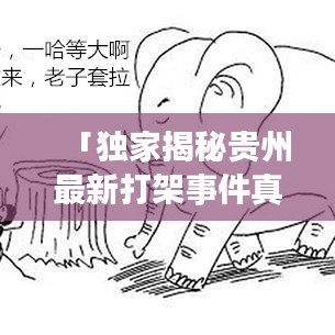 「独家揭秘贵州最新打架事件真相，视频全记录，社会关注不容忽视！」