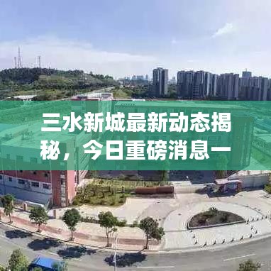 三水新城最新动态揭秘，今日重磅消息一览