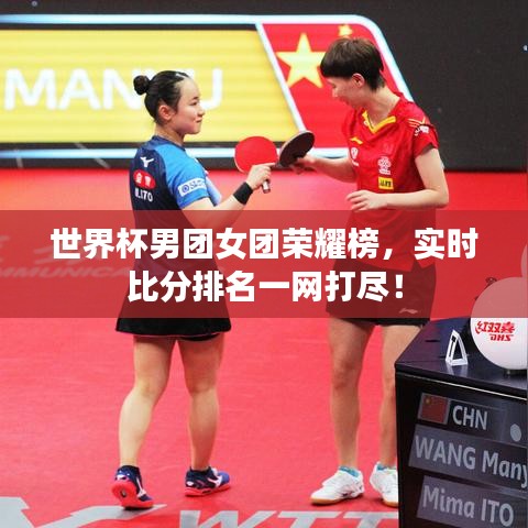 世界杯男团女团荣耀榜，实时比分排名一网打尽！