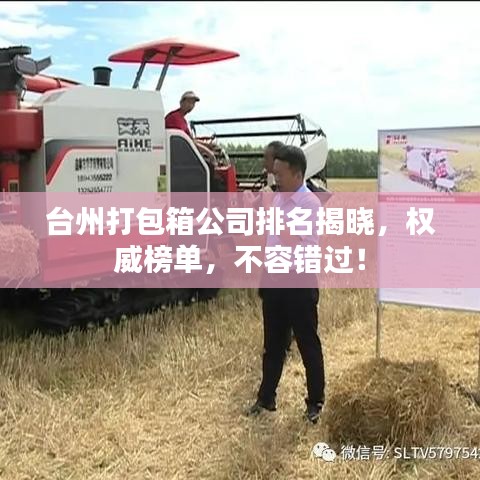 台州打包箱公司排名揭晓，权威榜单，不容错过！