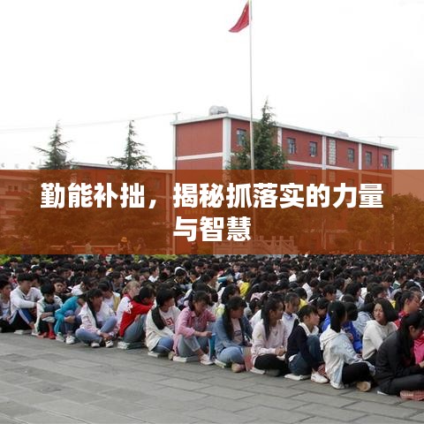 勤能补拙，揭秘抓落实的力量与智慧